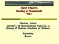 COST FORSYS WG1 THESSALONIKI Russia.pdf